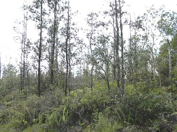 2nd image of Road 6 Ooaa Lot 4115