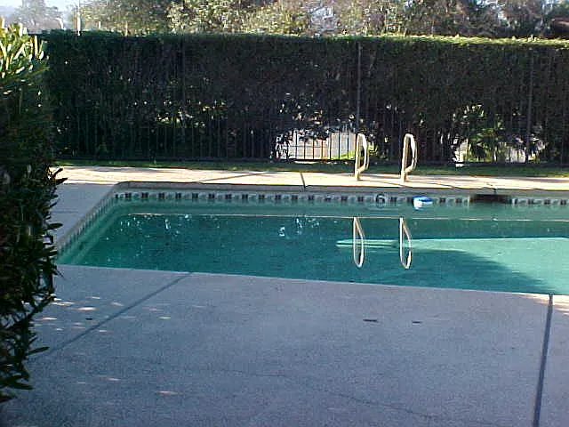 Pine Grove Place — Photo 7