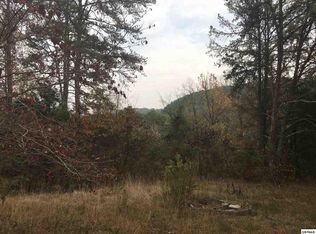 1843 Goose Gap Rd, Sevierville, TN 37876