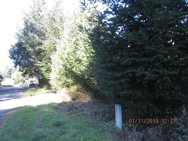 2nd image of 437 Redwood Rd