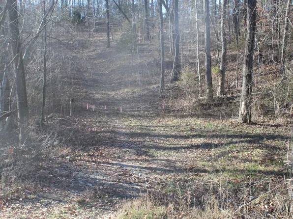 (undisclosed Address), Marshall, AR 72650