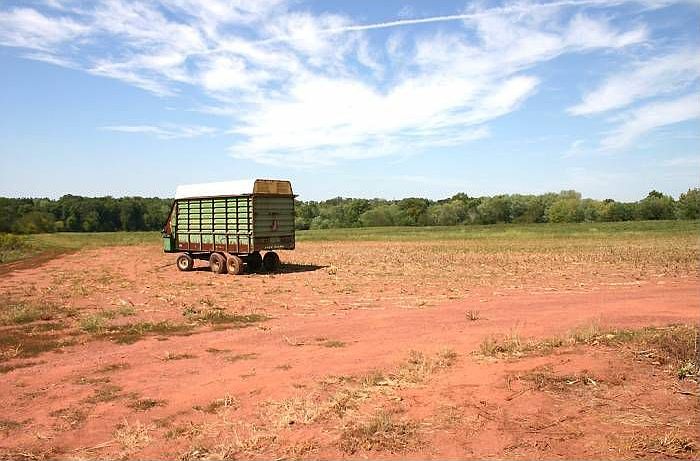 View of Acreage