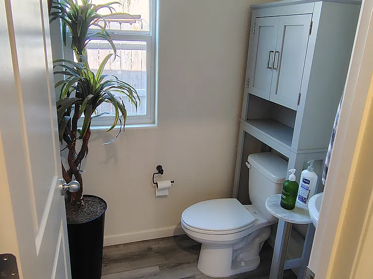 Guest bathroom downstairs
