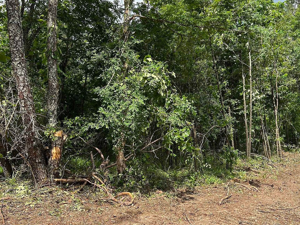 2nd image of TRACT 1 Highway 346