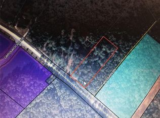 2368 Buck Swamp Rd, Brunswick, GA 31523