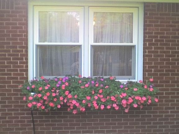 Custom irrigated window boxes keep the flowers lush and beautiful all season