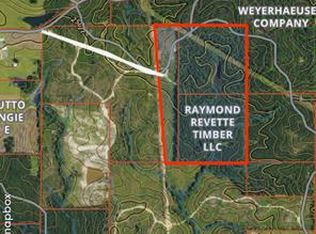 Chicora River Rd, Waynesboro, MS 39367