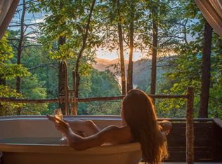 171 Lakeview Lodge Dr #11, Bryson City, NC 28713