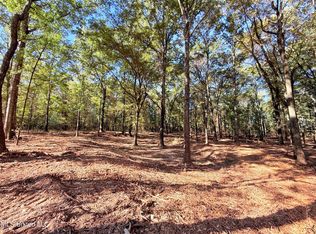 Stout Meadows Ln LOT 13, Madison, MS 39110