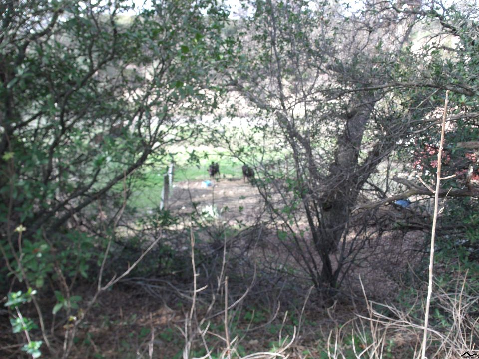 2nd image of 17140 Elder Creek Cir
