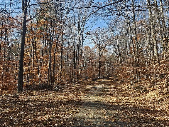 4th image of 134 Pratt Mountain Road