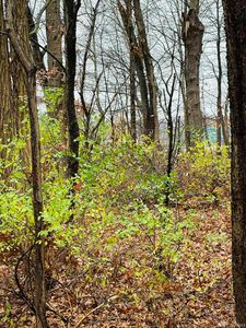 County Road 15, Elkhart, IN, 46514
