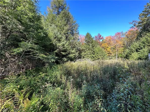 Benton Hollow Road, Liberty, NY 12754
