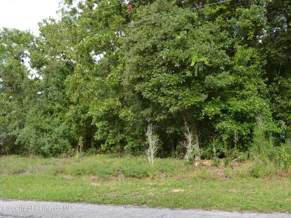3262 N Eisenhower Ave, Hernando, FL 34442