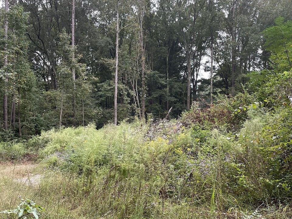 2nd image of 0 Sally Dr