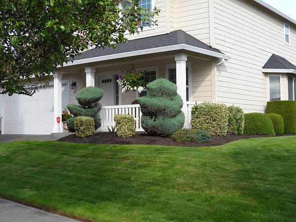 STREET SHOT LANDSCAPPING