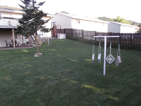 Back Yard in the morning