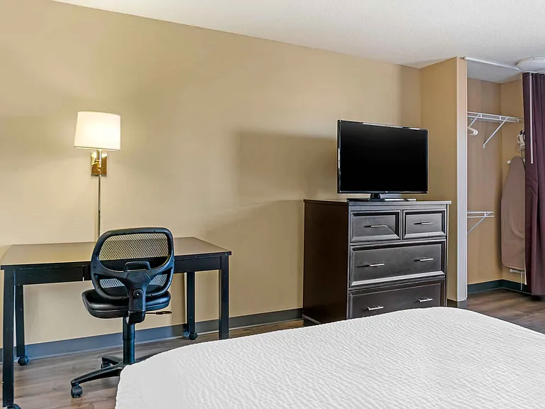 Studio Suite - 2 Full Beds