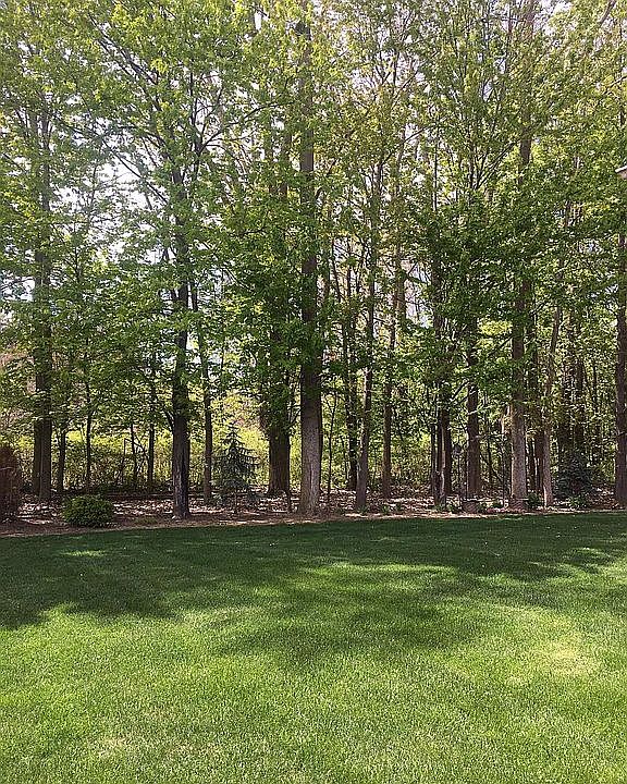 2nd image of 13449 Woodland Ct