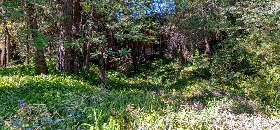 2nd image of Dogwood Creek Dr