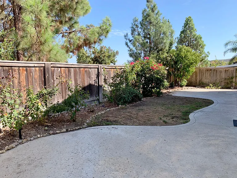 Back Yard / Patio