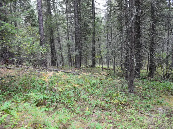 Nhn Fox Ln, Trout Creek, MT 59874