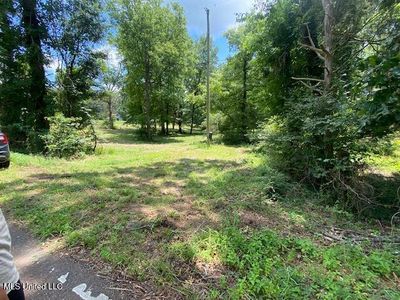 0 McGowen Rd, Lake Cormorant, MS, 38641
