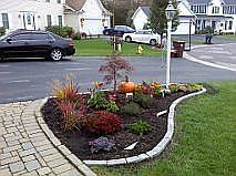 Small Garden in Front