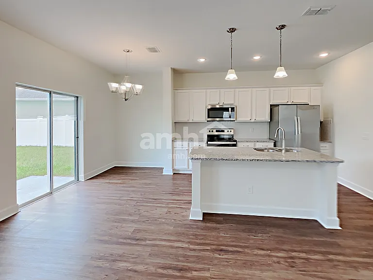 1397 Celery Palm Cv — Photo 5