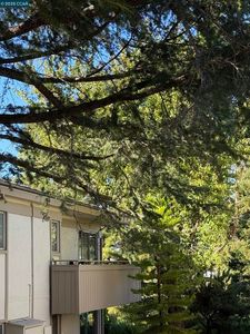 2825 Ptarmigan Dr APT 3, Walnut Creek, CA, 94595