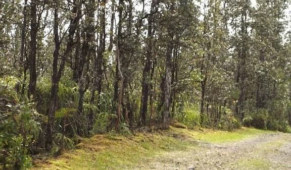 2nd image of Road 3 Hopue Lot 2977