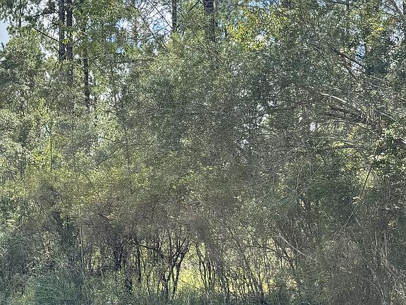 3rd image of LOT E Progress Silver Run Rd