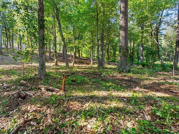 4th image of 45 Pineswamp Rd