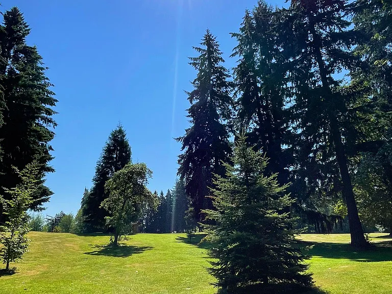 Mark Twain park