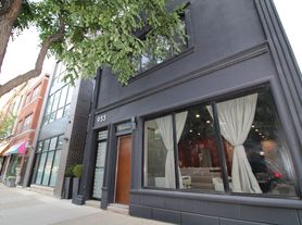933 N Ashland Ave, Chicago, IL
