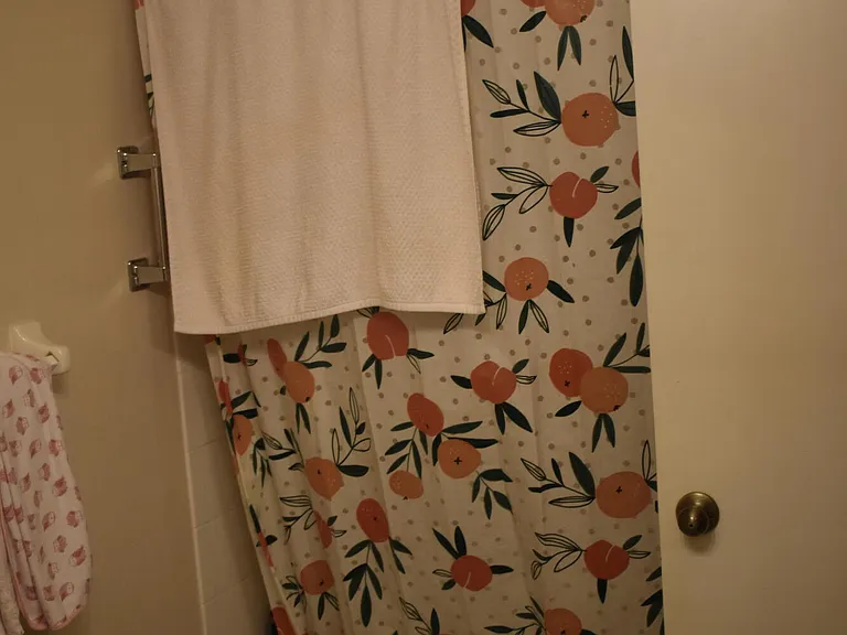 10881 Sea Hibiscus Ln — Photo 25