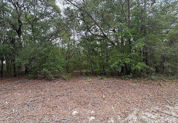 3rd image of SW Southwest Daisy Rd
