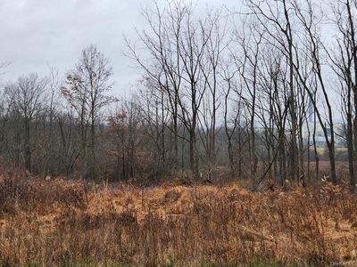 120 Bates Gates Rd, New Hampton, NY, 10958