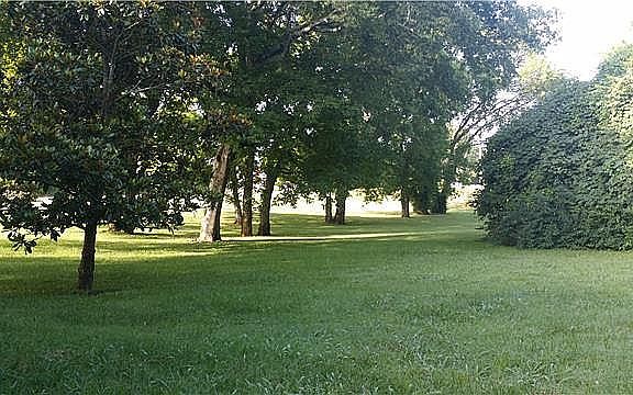 open lot, no neighbor ever