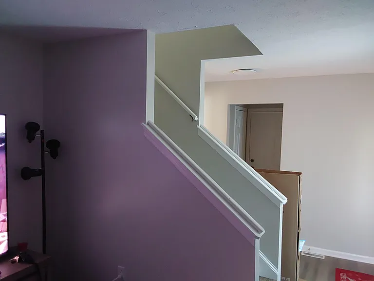 Interior stairwell/landing with painted walls, handrail, and access to adjacent rooms.