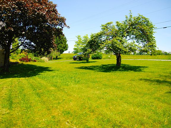 View of Green Space