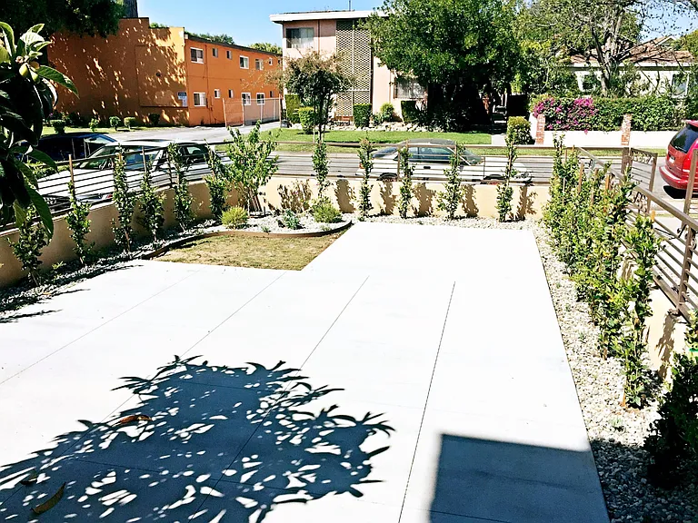 Front Yard