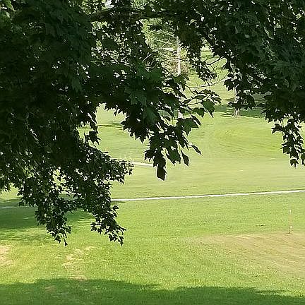 View from back patio under deck