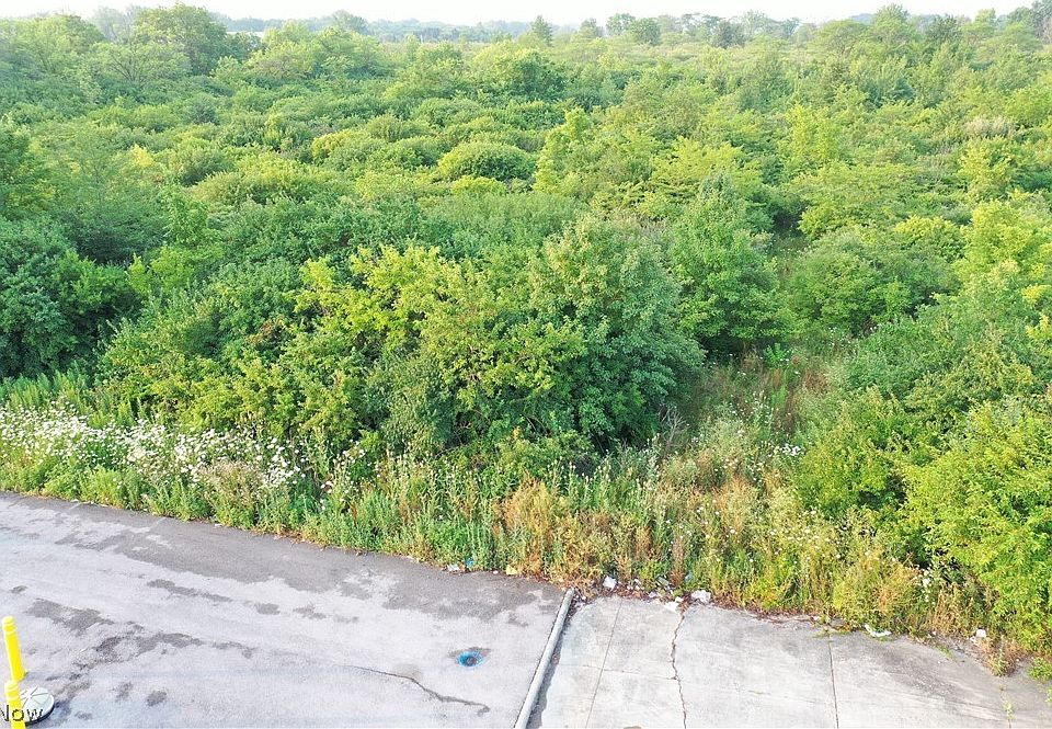 1st image of Novelty St
