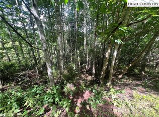 Lot 5 Old Barn Road, Vilas, NC 28692