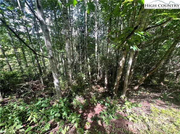 Lot 5 Old Barn Road, Vilas, NC 28692