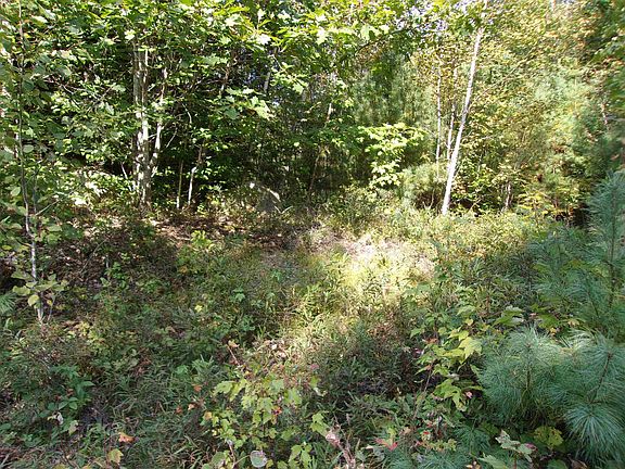 4th image of Fenn Way Circle #29