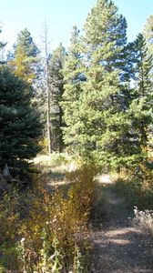 S 35 T #R-72W-1S, Golden, CO, 80403