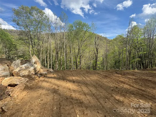 10/11 Thrash Ln, Mars Hill, NC 28754