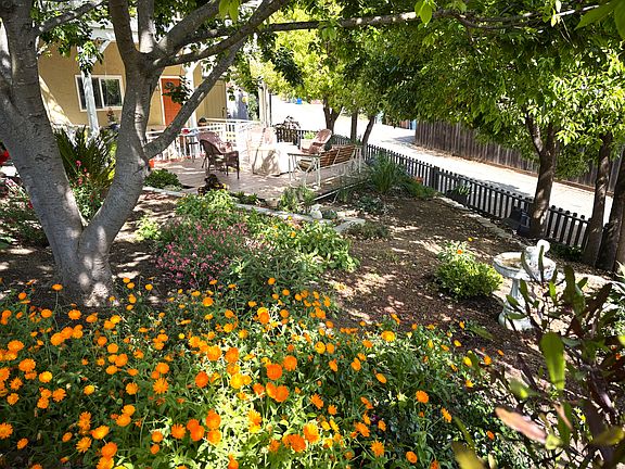 View of garden area in the front yard.